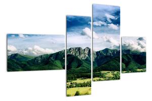 Horský výhľad - moderné obrazy (Obraz 110x70cm)