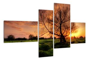 Západ slnka, obrazy (Obraz 110x70cm)