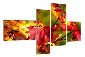 Jesenné lístie, obraz (Obraz 110x70cm)