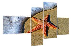 Obraz s morskou hviezdou (Obraz 110x70cm)