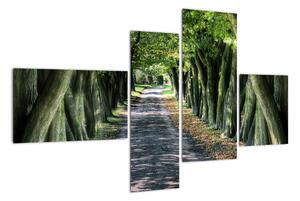 Údolie stromov, obrazy (Obraz 110x70cm)