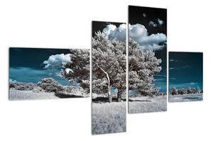Strom v zime, obraz na stenu (Obraz 110x70cm)