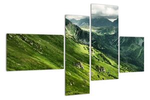 Pohorie hôr - obraz na stenu (Obraz 110x70cm)