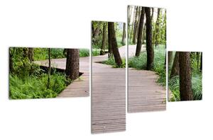 Cesta v lese - obraz (Obraz 110x70cm)