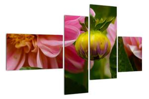 Obraz kvetu rastliny (Obraz 110x70cm)