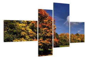 Jesenné stromy - moderný obraz (Obraz 110x70cm)