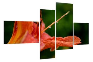 Obrázok kvety (Obraz 110x70cm)