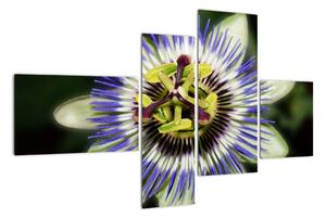 Obrazy kvetov (Obraz 110x70cm)