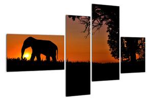 Obraz slona v prírode (Obraz 110x70cm)