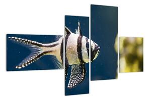 Ryba - obraz (Obraz 110x70cm)
