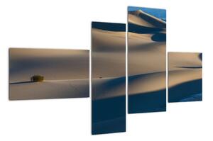 Púšť - obraz (Obraz 110x70cm)