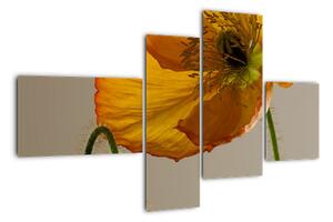 Žltý kvet - obraz (Obraz 110x70cm)