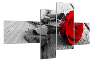 Ruža červená - obraz (Obraz 110x70cm)