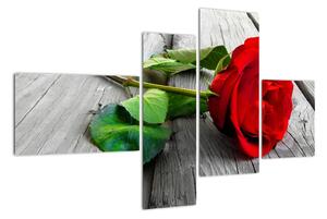 Ruža červená - obraz (Obraz 110x70cm)