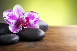 Fototapeta orchidea a čierne kamene