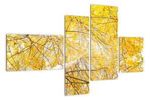 Jesenné lístie - moderný obraz (Obraz 110x70cm)