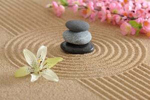 Fototapeta Zen záhrada a kamene v piesku