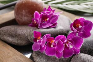 Fototapeta nádherná orchidea a Zen kamene