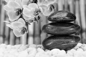 Samolepiaca fototapeta japonská čiernobiela Zen záhrada