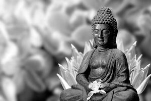 Fototapeta pokojný čiernobiely Budha
