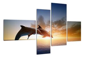 Delfíny - obraz (Obraz 110x70cm)