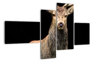 Jelen - obraz (Obraz 110x70cm)