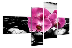 Obraz orchideí (Obraz 110x70cm)