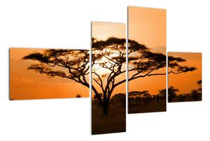 Obraz stromu (Obraz 110x70cm)