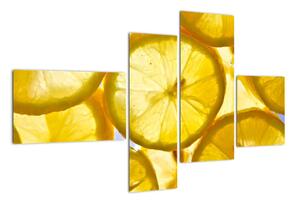 Plátky citrónov - obraz (Obraz 110x70cm)