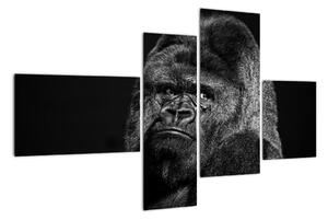 Obraz opice (Obraz 110x70cm)