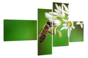 Fotka včely - obraz (Obraz 110x70cm)