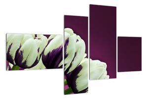Makro tulipánov - obraz (Obraz 110x70cm)
