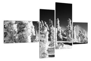 Obraz - zimné hory (Obraz 110x70cm)