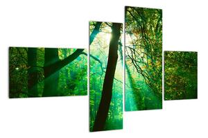 Obraz stromu (Obraz 110x70cm)