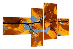 Jesenné lístie - obraz (Obraz 110x70cm)