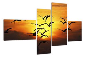 Obraz letiacich vtákov (Obraz 110x70cm)