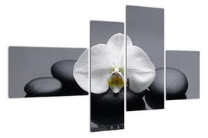 Kvet orchidey - moderný obraz (Obraz 110x70cm)