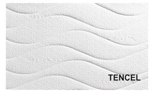 TEXPOL Sendvičový matrac proti preležaninám aj pre seniorov VEGA z PUR peny - 195 x 80 cm, Materiál: Ciana