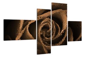 Detail ruže - obraz (Obraz 110x70cm)