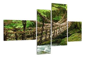 Obraz - most v prírode (Obraz 110x70cm)