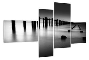 Čiernobiele mora - obraz (Obraz 110x70cm)