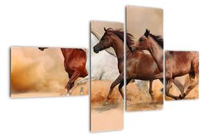 Obraz kôň (Obraz 110x70cm)