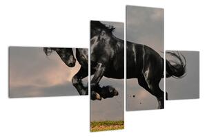 Čierny kôň, obraz (Obraz 110x70cm)
