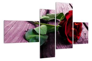 Ležiaci ruža - obraz (Obraz 110x70cm)