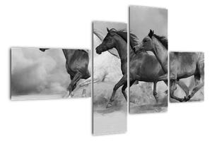 Obraz cválajúci koňov (Obraz 110x70cm)