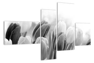 Tulipány, obraz (Obraz 110x70cm)