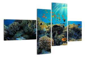 Obraz podmorského sveta (Obraz 110x70cm)