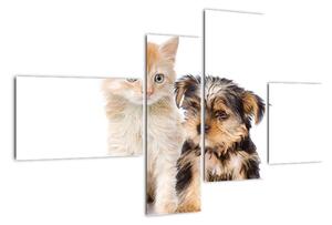 Mačiatko a šteňa - obraz (Obraz 110x70cm)