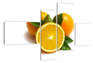 Pomaranče - obraz (Obraz 110x70cm)
