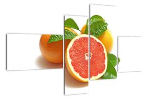Grapefruit, obraz (Obraz 110x70cm)